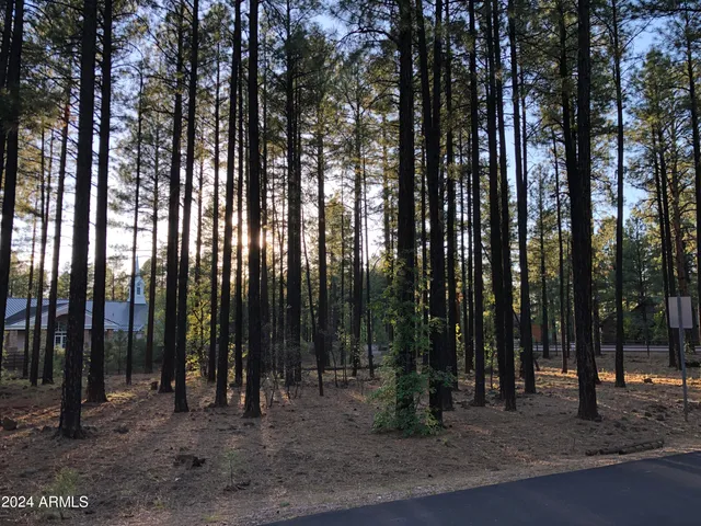 $129,900 | 2504 Timber Ridge Lane, Unit 1, Pinetop, AZ 85935