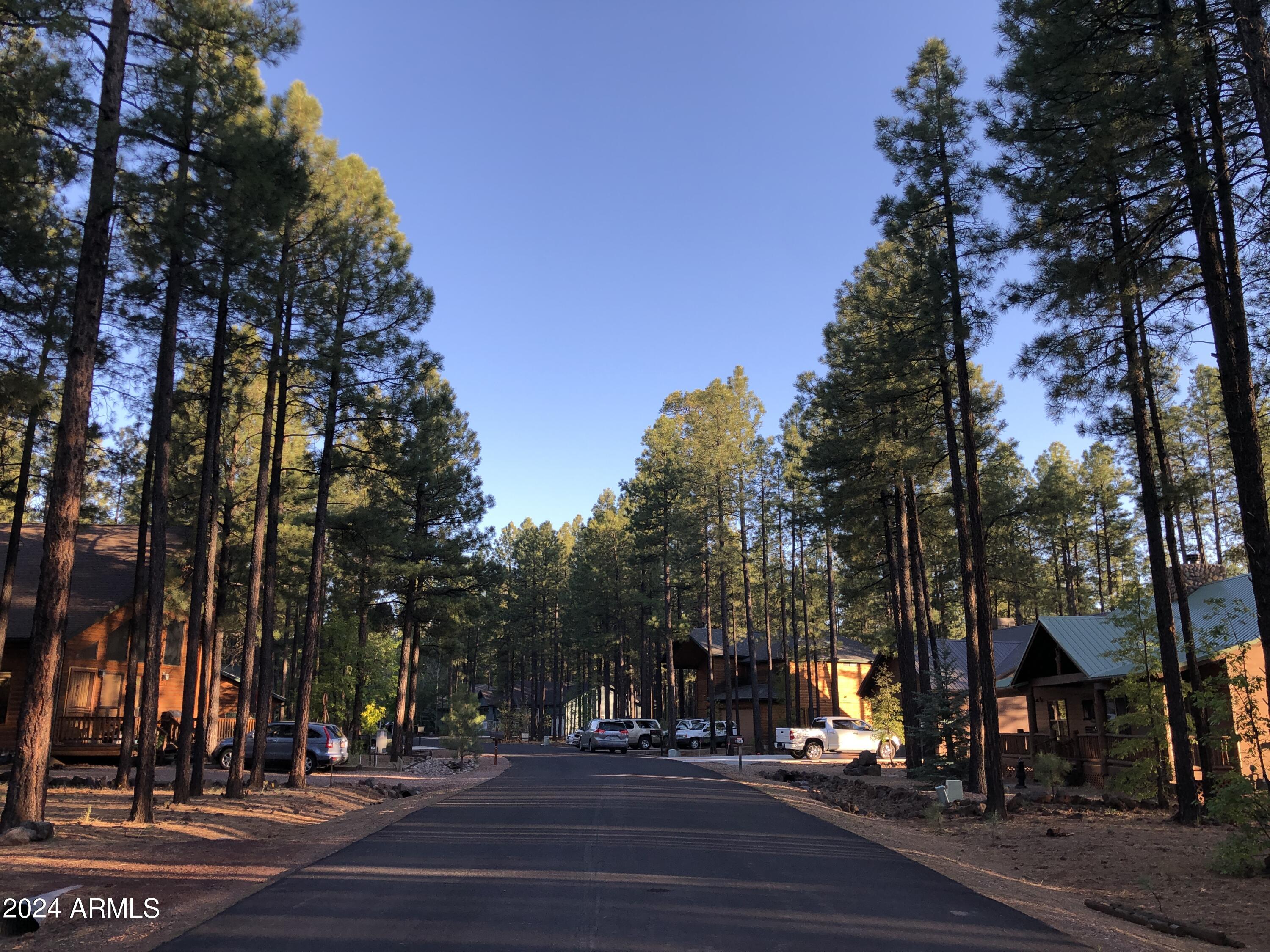 2504 Timber Ridge Lane, Unit 1 Pinetop, AZ 85935 - Photo 3 of 5 IMG_7006 2