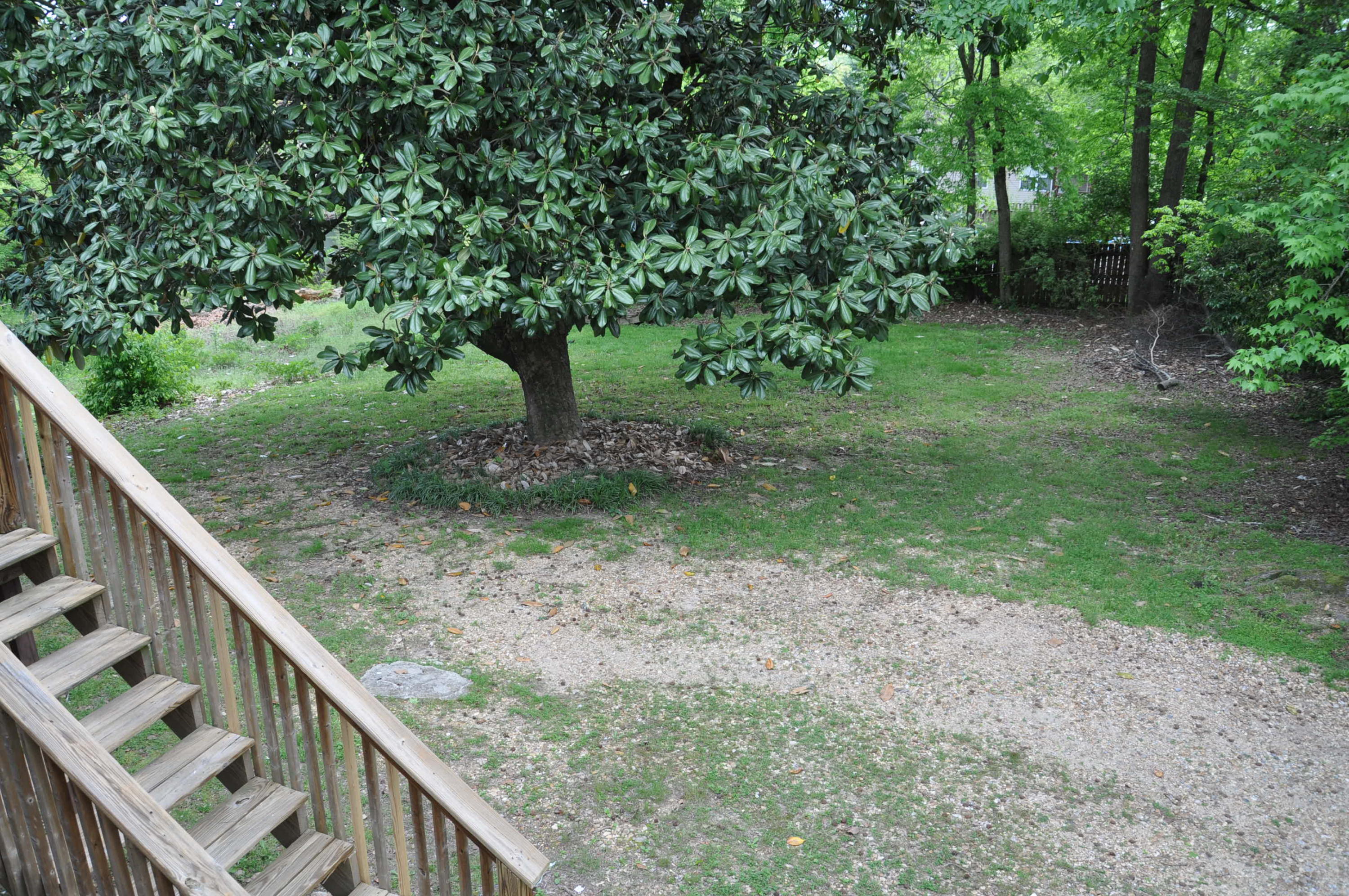 1722 John Ross Road Chattanooga, TN 37412 - Photo 26 of 32 Back Yard