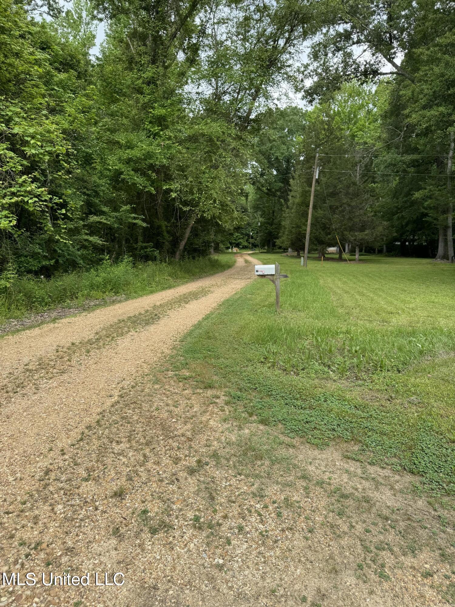 0 Benny Road Roxie, MS 39661 - Photo 14 of 21 IMG_2116