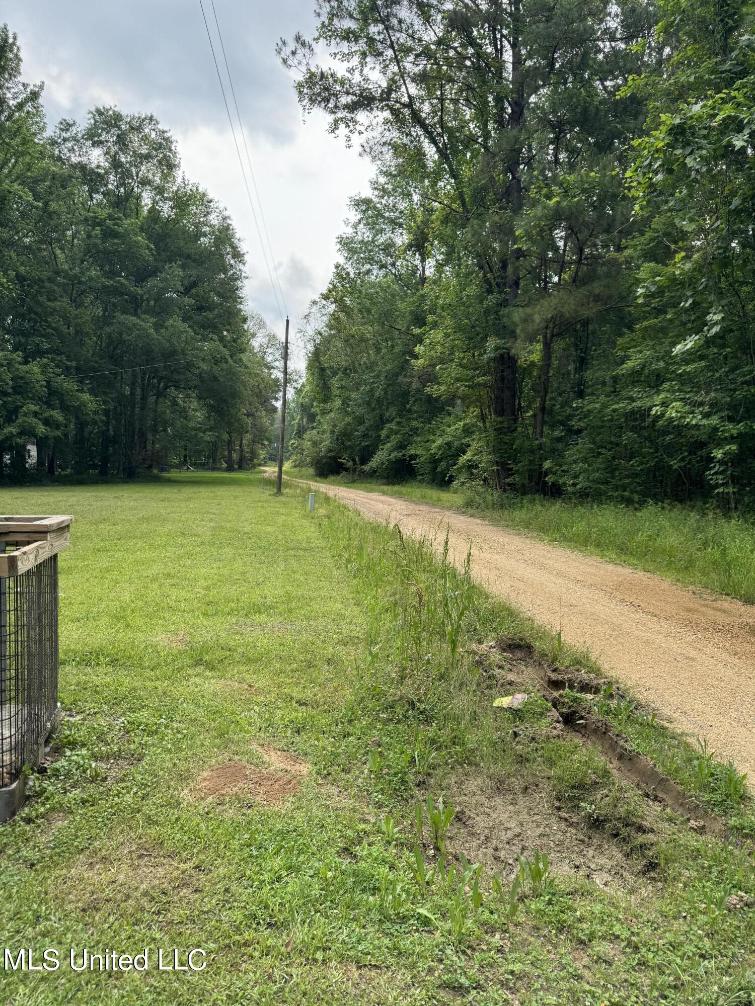 0 Benny Road Roxie, MS 39661 - Photo 15 of 21 IMG_2115