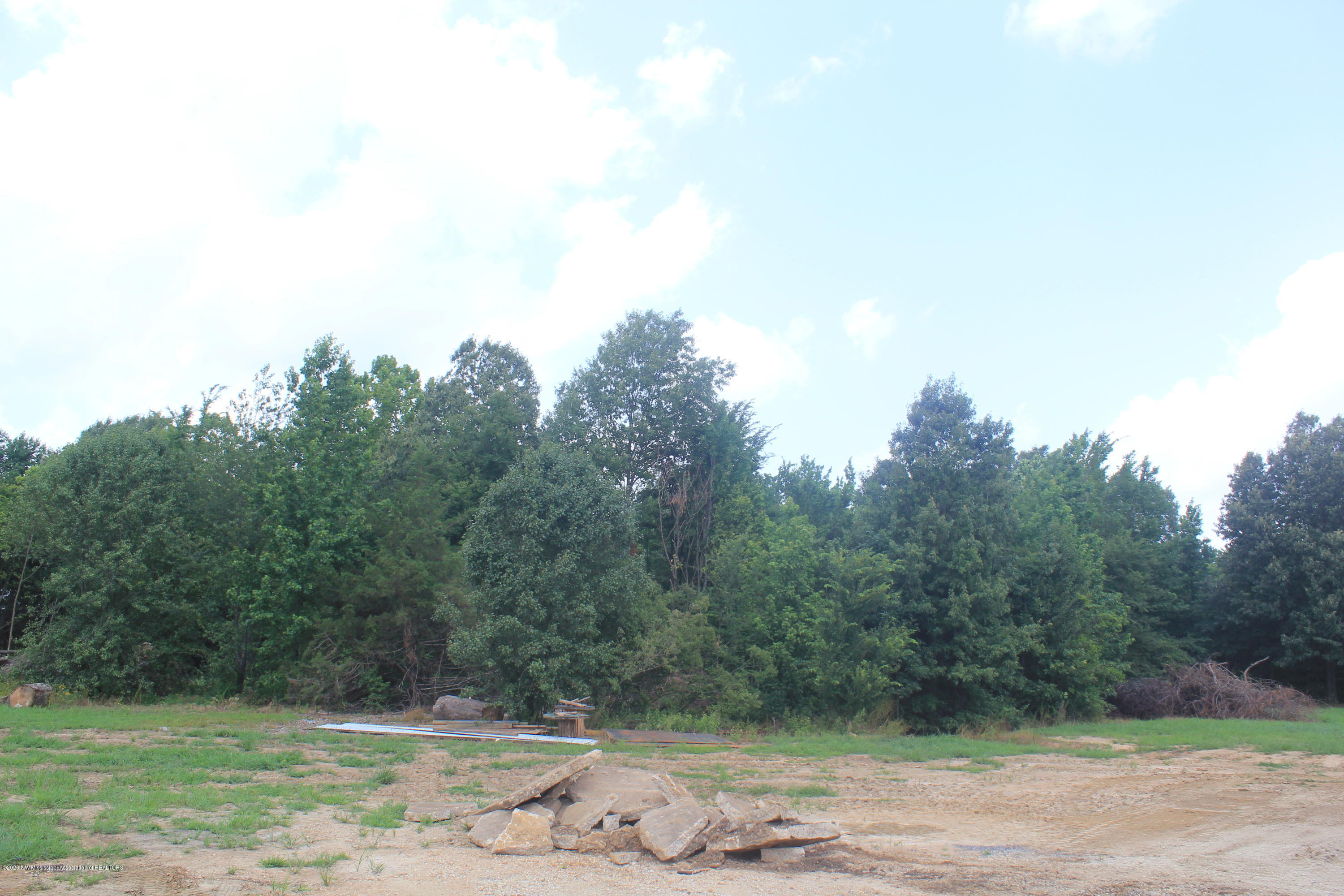 8735 Tulane Road Southaven, MS 38671 - Photo 15 of 16 IMG_4447