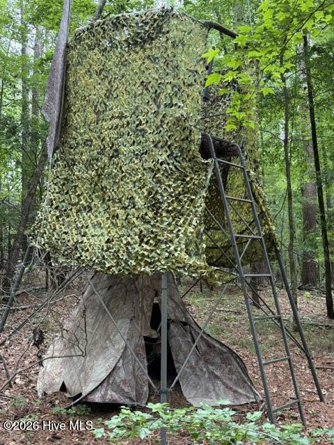 Lot 7 Twin Pond Road Sparta, GA 31087 - Photo 4 of 14 Deer Stand