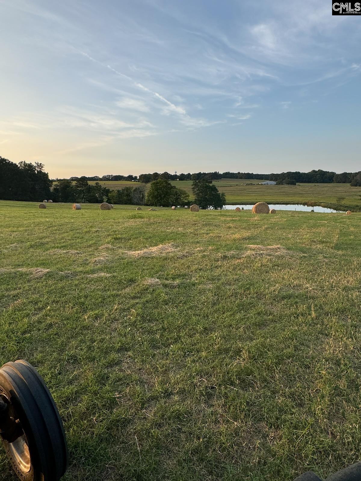542 Pea Ridge Highway Jonesville, SC 29353 - Photo 34 of 72