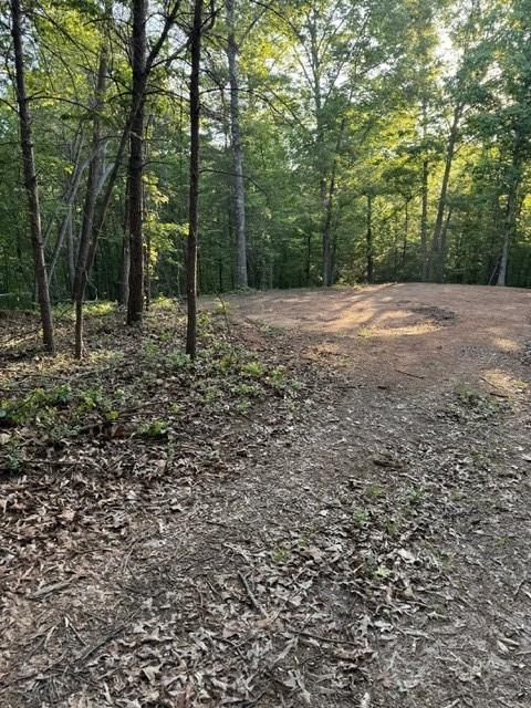 9180 Oliver Mill Road Lula, GA 30554 - Photo 3 of 6