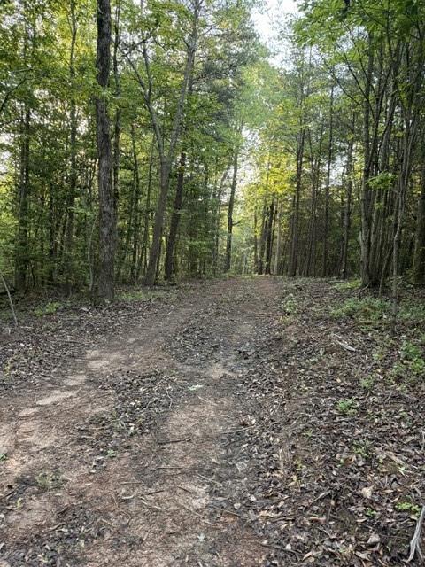9180 Oliver Mill Road Lula, GA 30554 - Photo 4 of 6