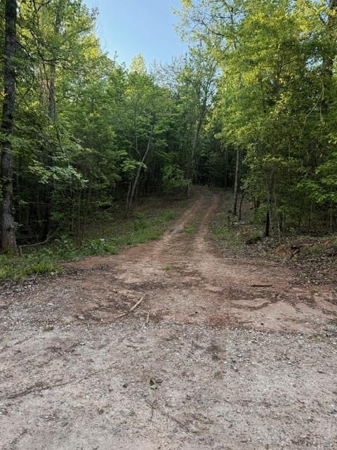 9180 Oliver Mill Road Lula, GA 30554 - Photo 5 of 6