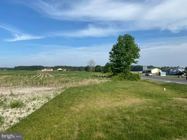 $1,600,000 | 0 Route 5 Harbeson De 19966, Harbeson, DE 19951