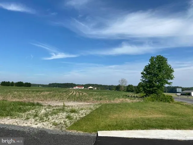 $1,600,000 | 0 Route 5 Harbeson De 19966, Harbeson, DE 19951