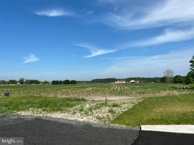 $1,600,000 | 0 Route 5 Harbeson De 19966, Harbeson, DE 19951