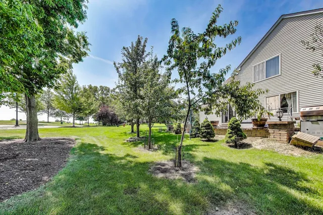 a view of a park with large trees