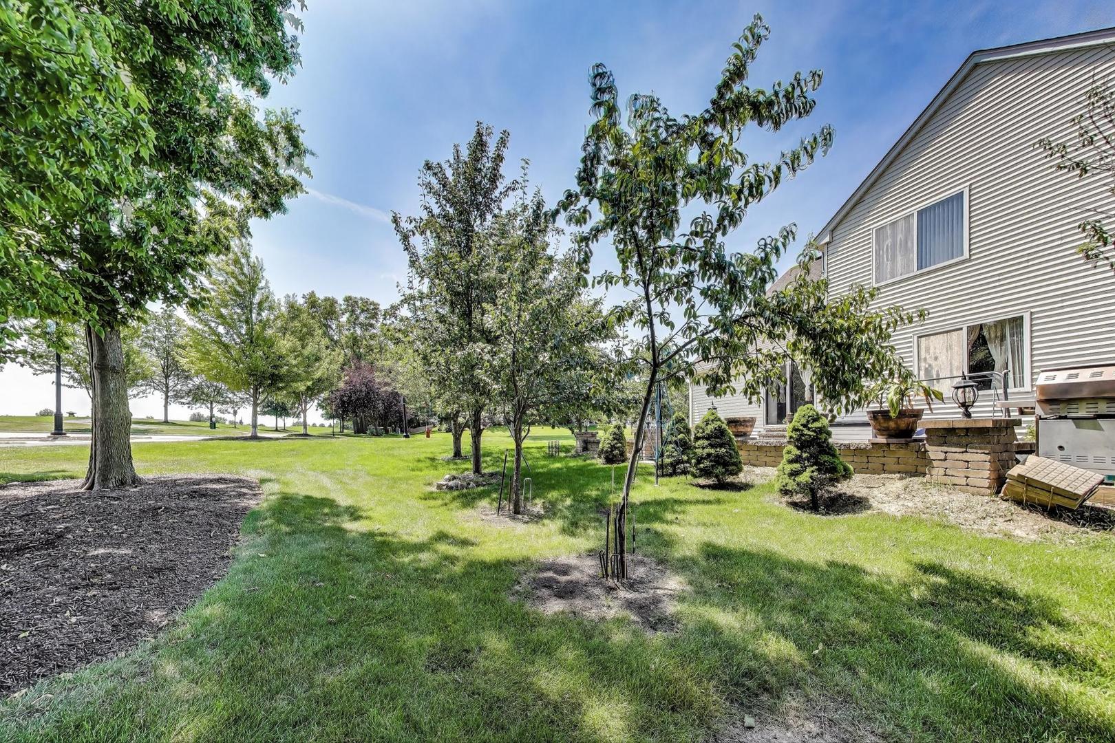 487 Anna Lane Romeoville, IL 60446 - Photo 30 of 38 a view of a backyard with swimming pool
