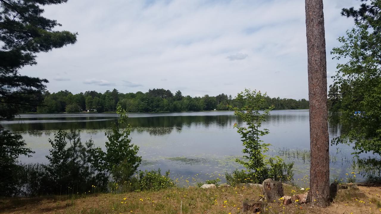 N11225 Clear Lake Road Tomahawk, WI 54487 - Photo 5 of 26 Gallery Image 5