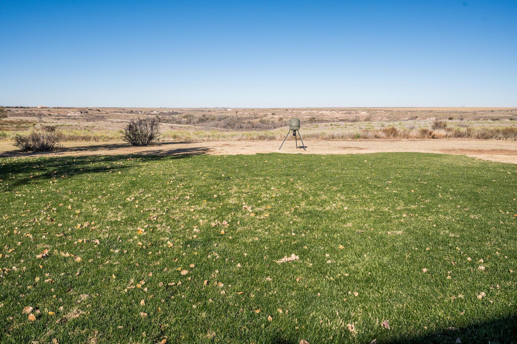 13300 Blf Rdg Trail Canyon, TX 79015 - Photo 37 of 37 Back Yard-4