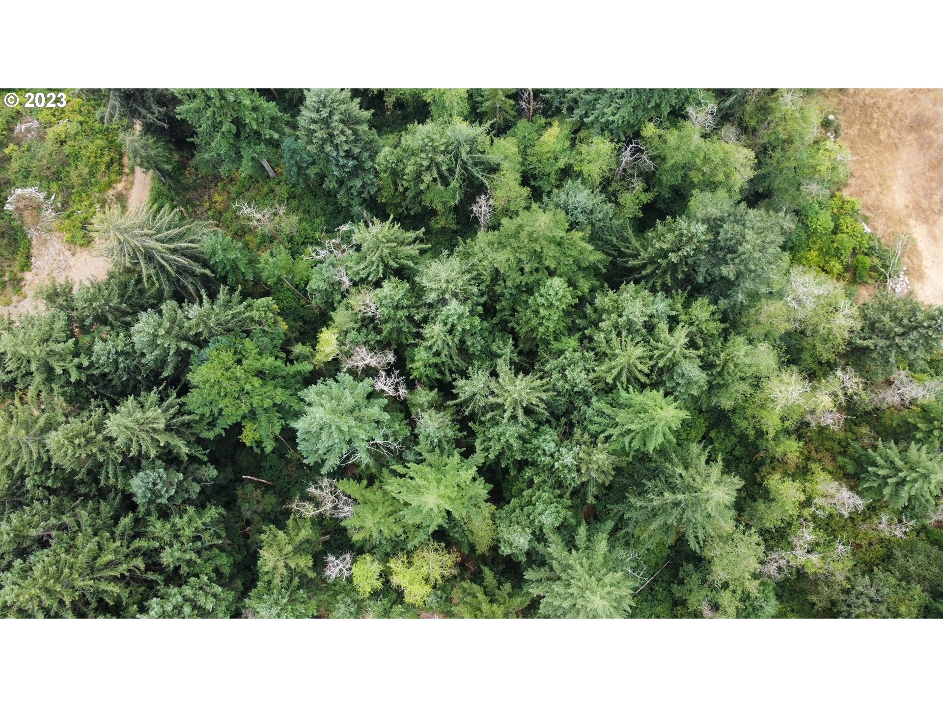 Erhart Road Florence, OR 97439 - Photo 2 of 11