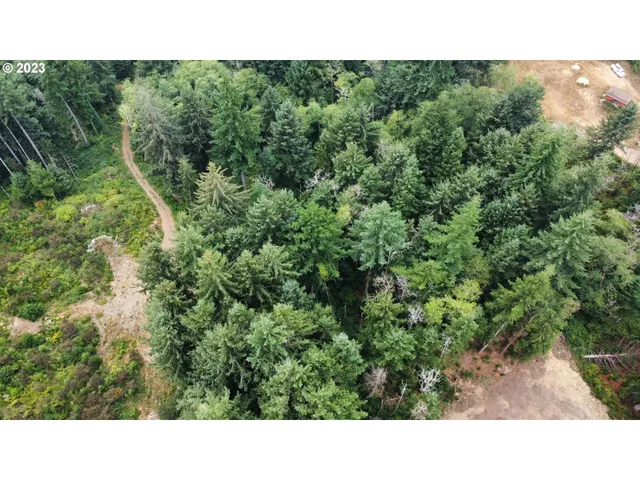 a black and white photo of a house