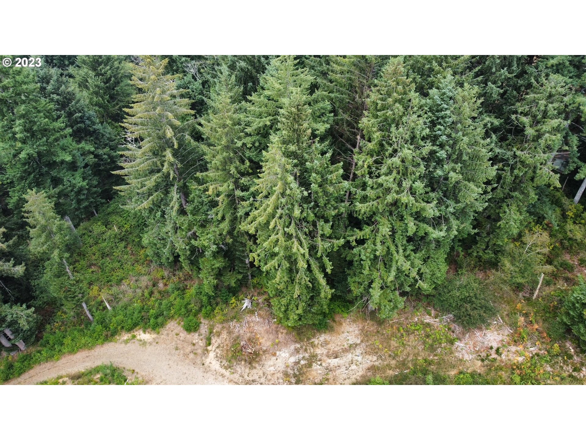 Erhart Road Florence, OR 97439 - Photo 4 of 11 a picture of a park