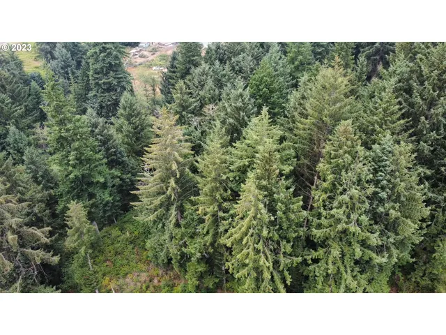 a black and white photo of a house