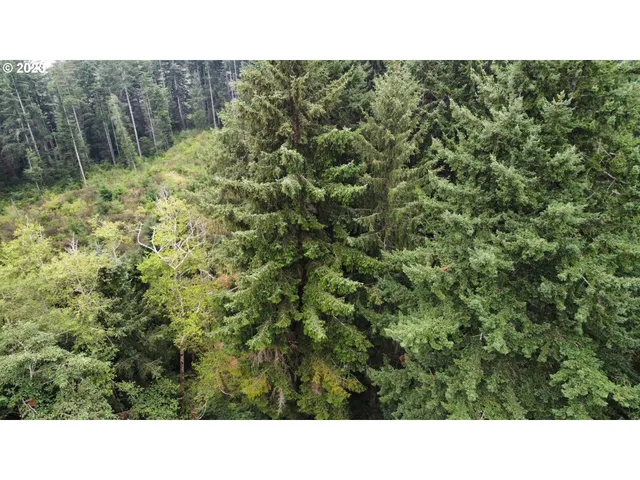 a black and white photo of a house