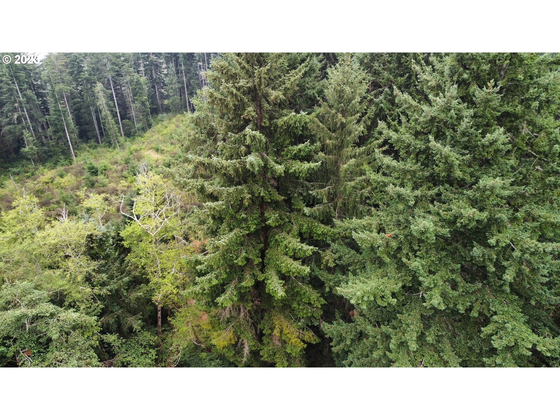 Erhart Road Florence, OR 97439 - Photo 7 of 11 a black and white photo of a house