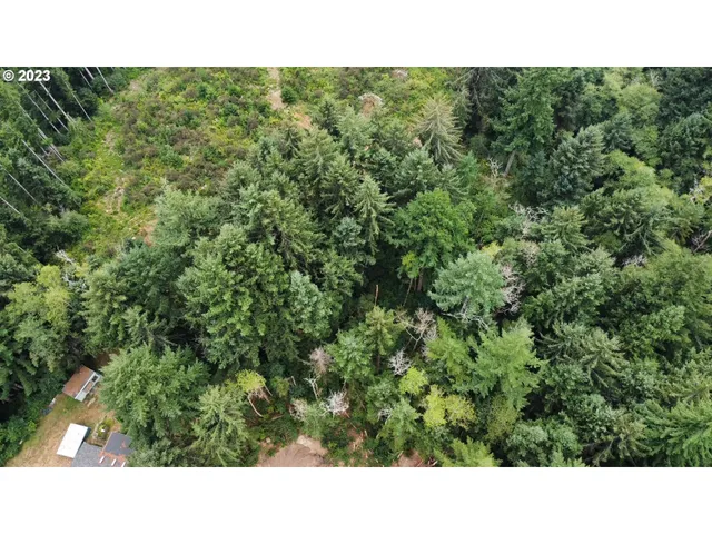 a black and white photo of a house
