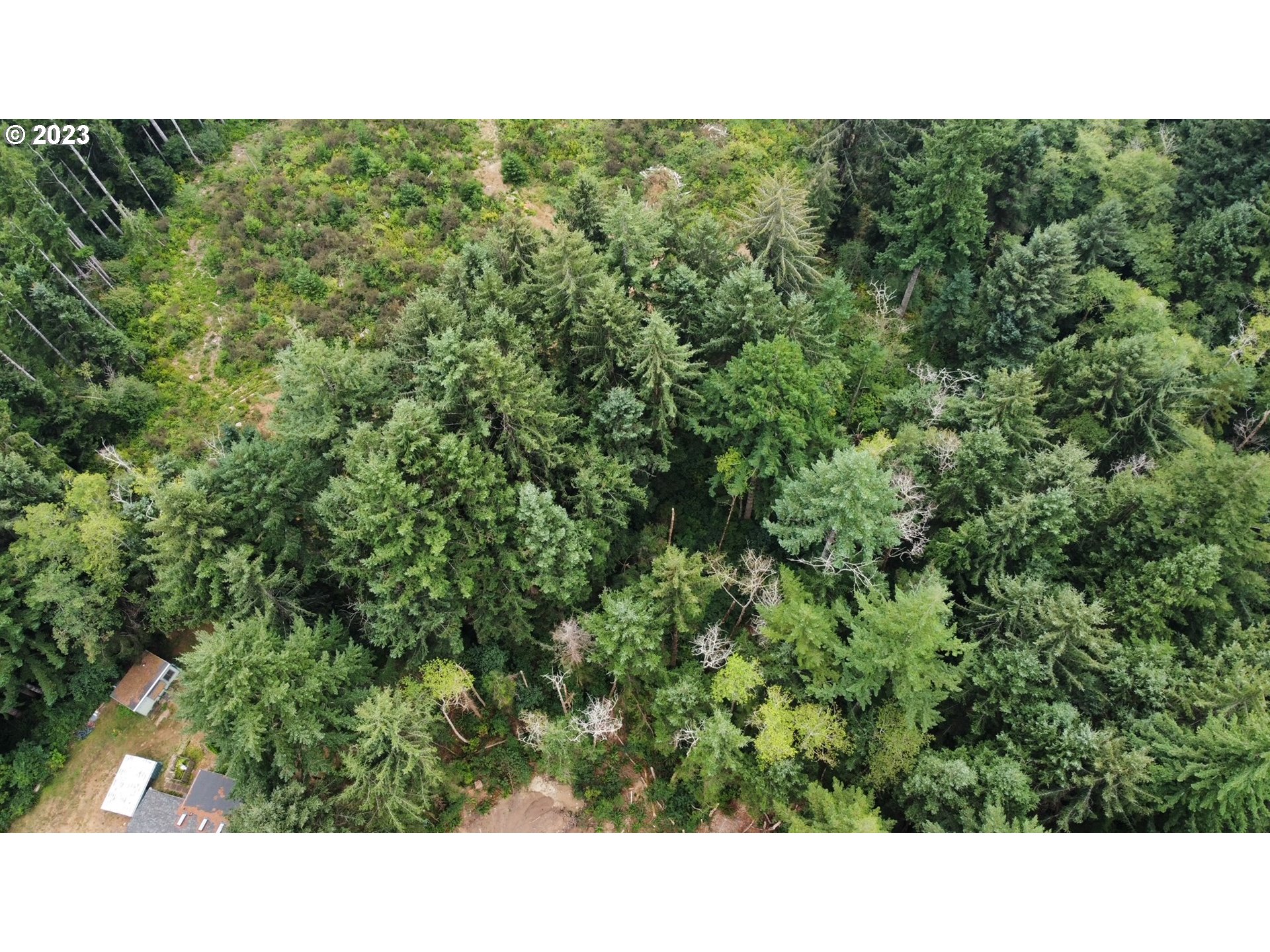 Erhart Road Florence, OR 97439 - Photo 9 of 11 a black and white photo of a house