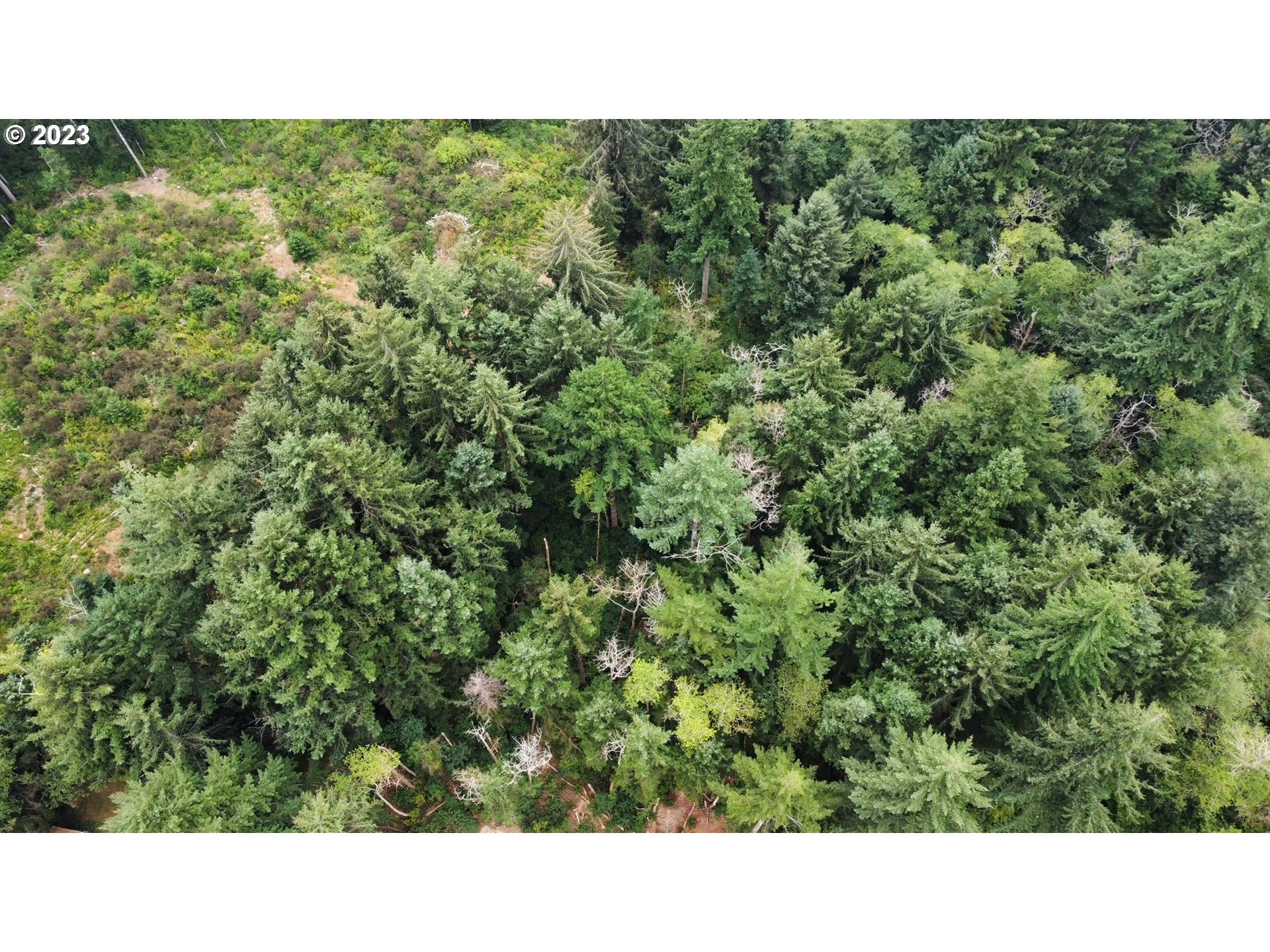 Erhart Road Florence, OR 97439 - Photo 10 of 11 a black and white photo of a house