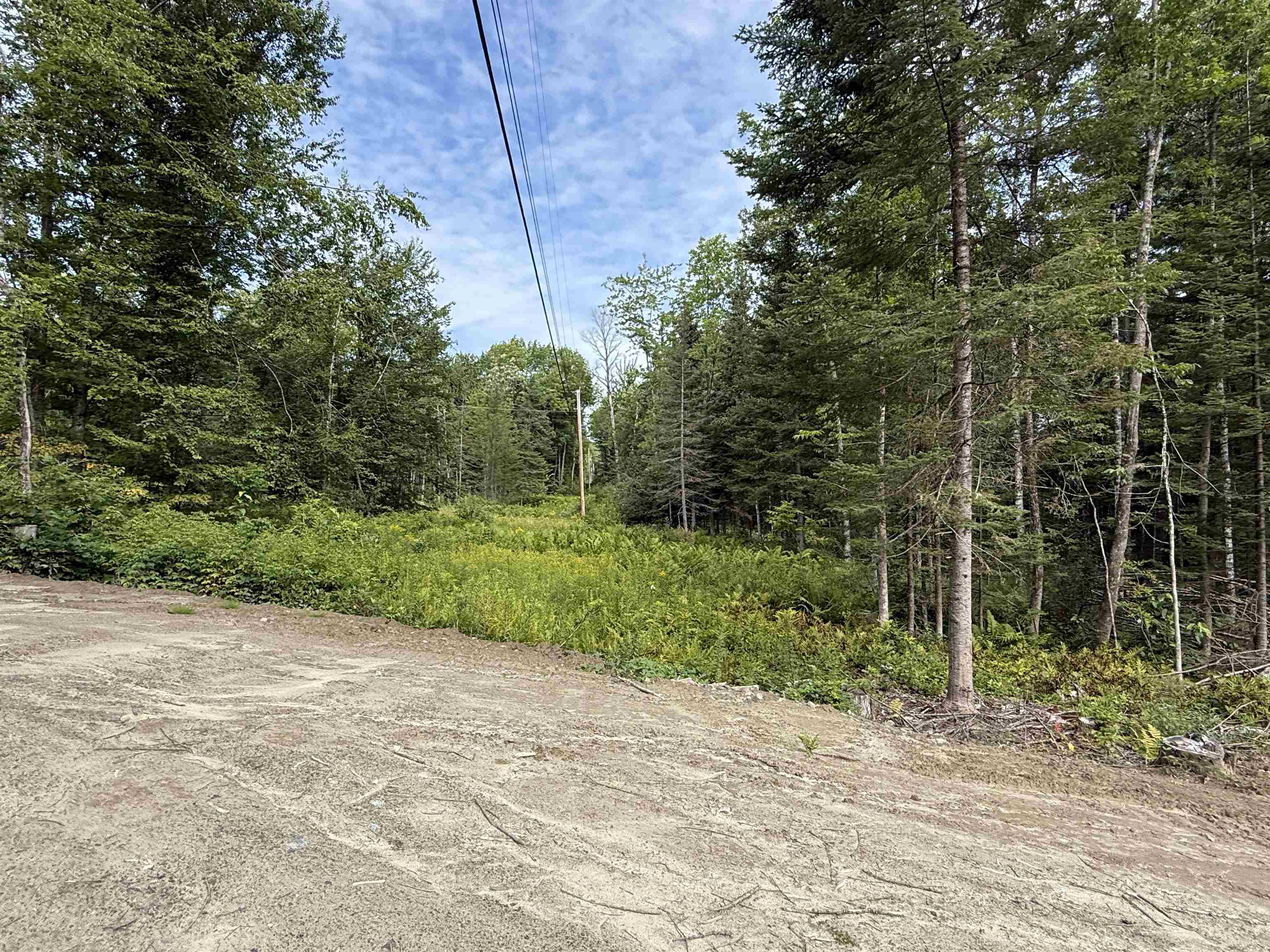Lot 58 Old Pond Hill Road Lunenburg, VT 05906 - Photo 9 of 25 Gallery Image 9