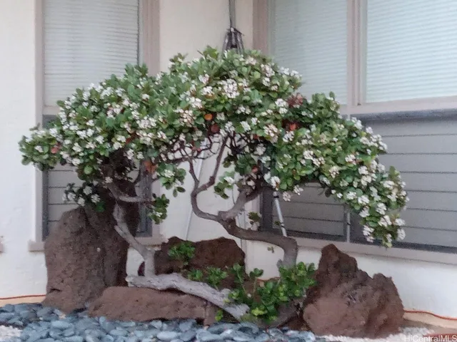 front view of a house with a street