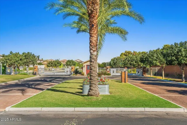 a view of a yard with plants