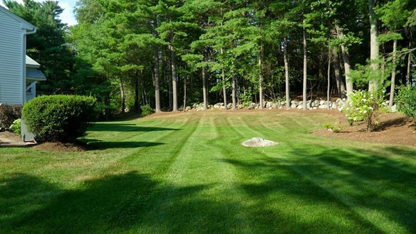 12 Fredrickson Road Billerica, MA 01821 - Photo 21 of 30