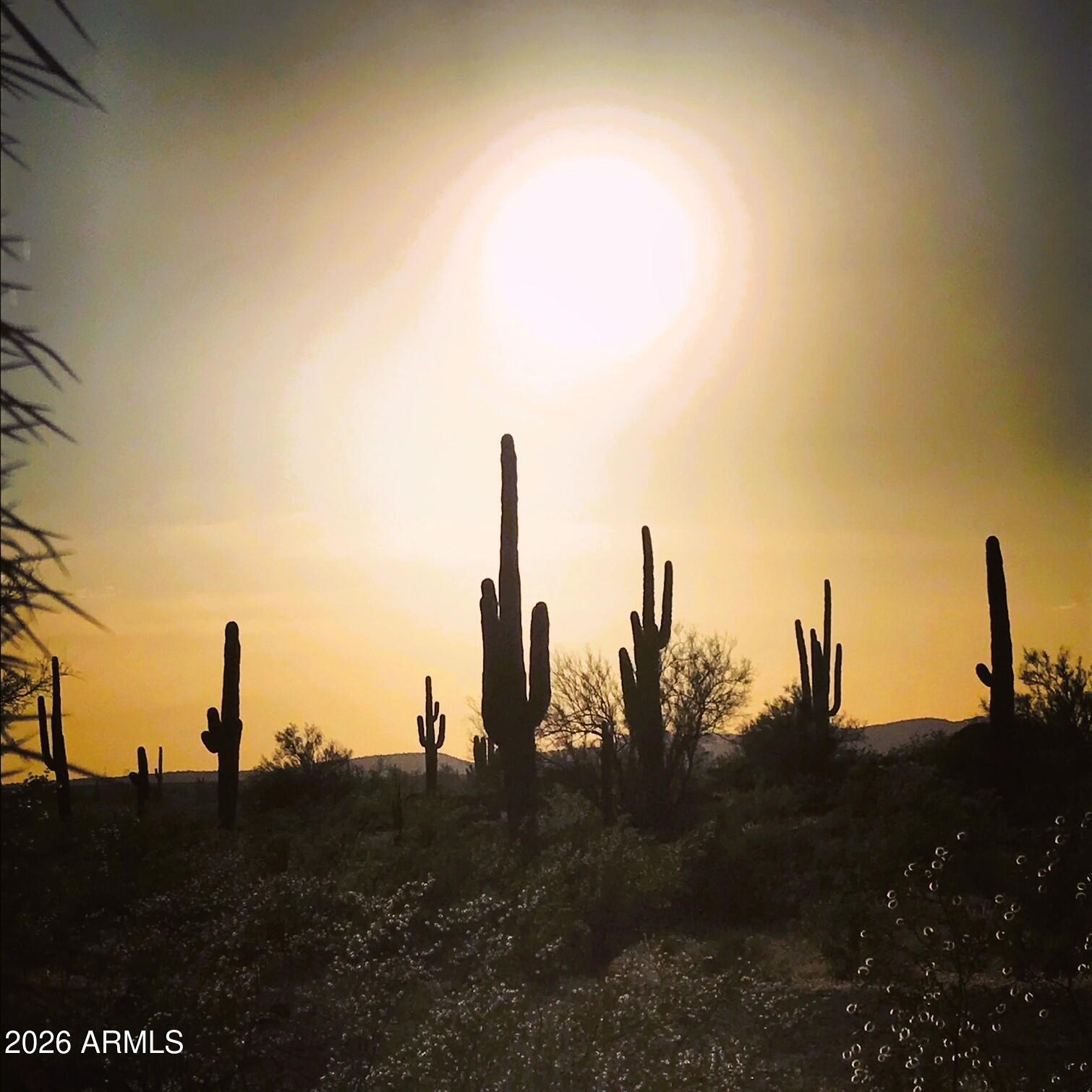 7451 West Montgomery Road Peoria, AZ 85383 - Photo 36 of 43 SONORAN MNT RANCH DESERT SUN