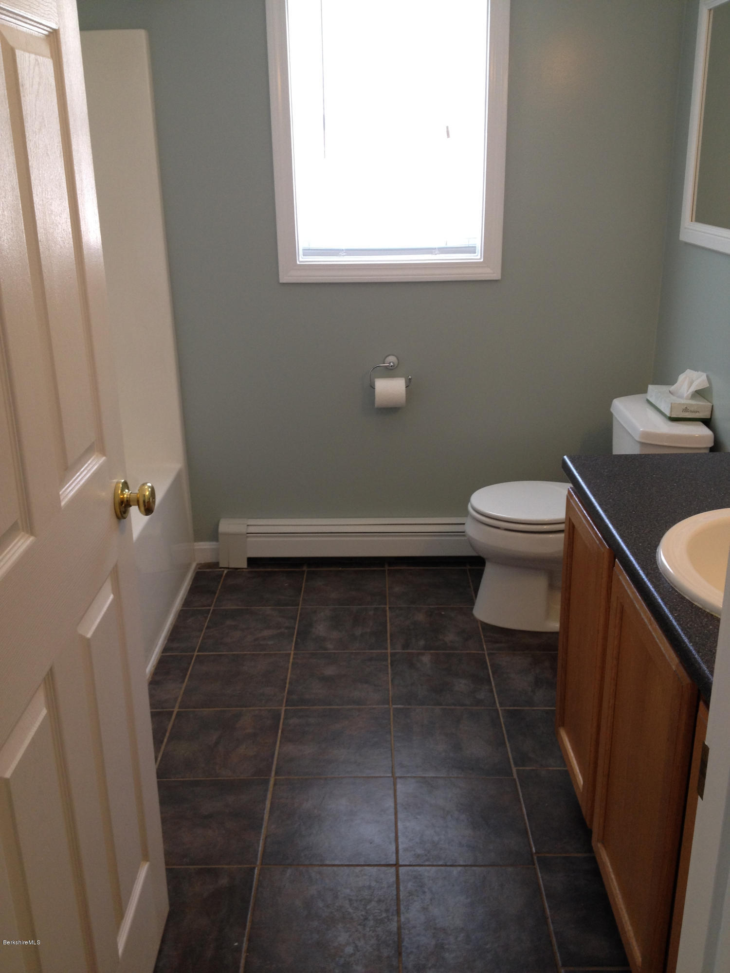 1201 River Road Clarksburg, MA 01247 - Photo 29 of 42 a bathroom with a sink and a toilet