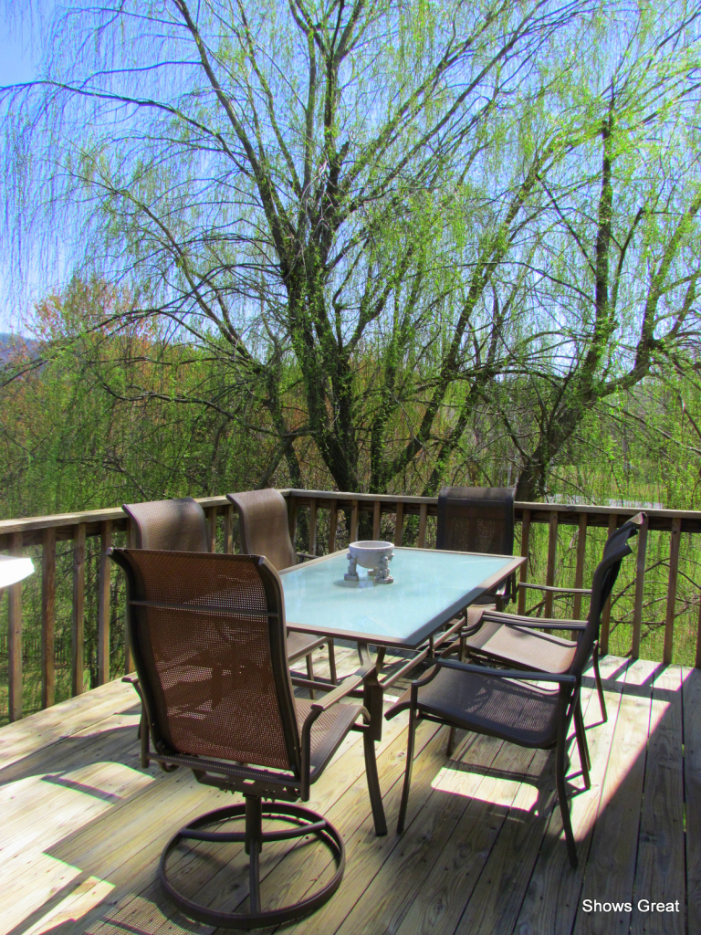 603 Winesap Road Roanoke, VA 24019 - Photo 12 of 61 IMG_7877