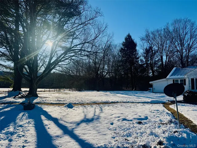 a view of a backyard of the house