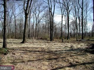 21 Pavilica Road Stockton, NJ 08559 - Photo 6 of 6 Gallery Image 6