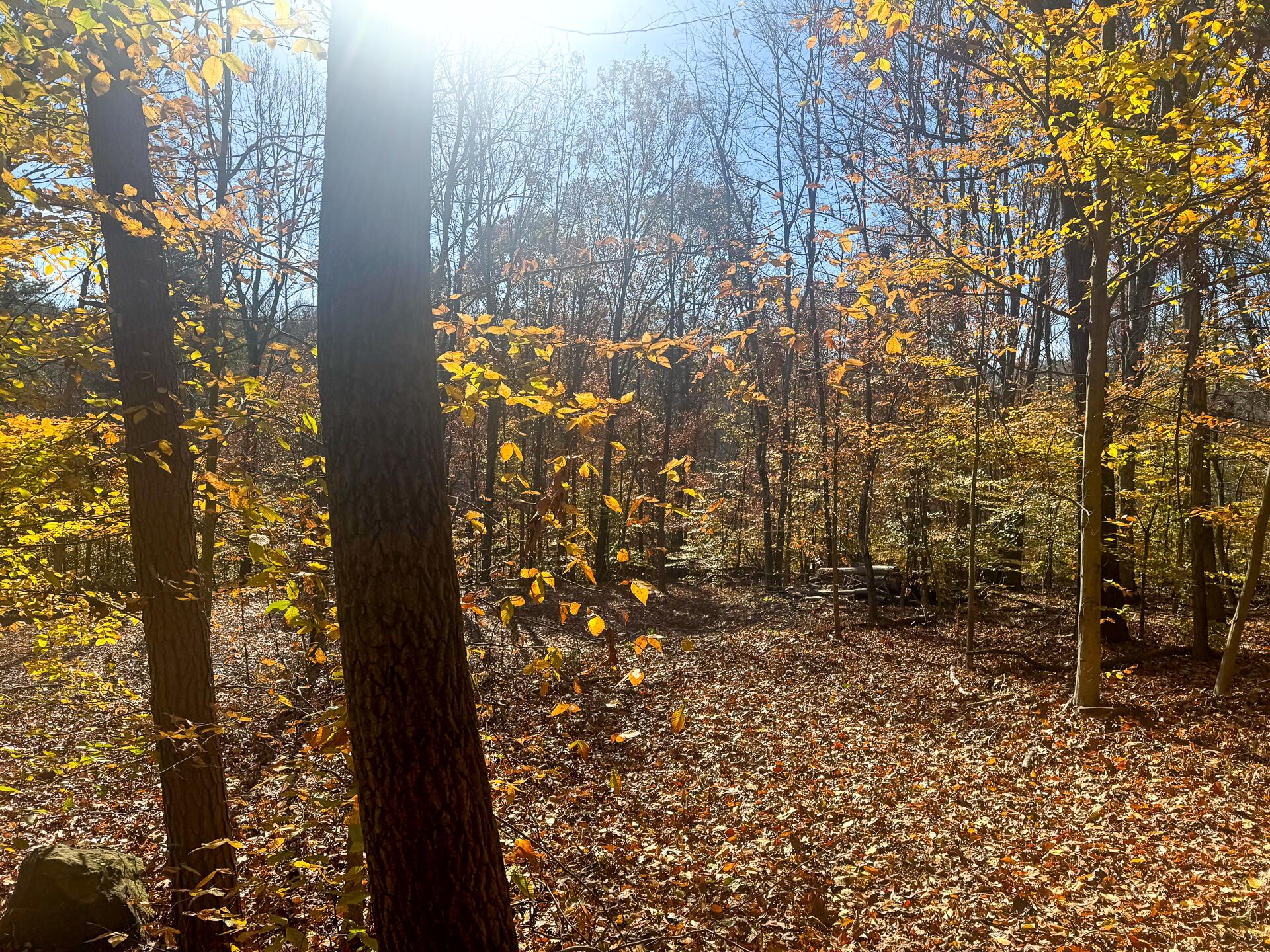 908 Nibert Road, Unit PONDS POPLAR RIDGE TRACT 2) Gallipolis, OH 45631 - Photo 15 of 25 CT-15