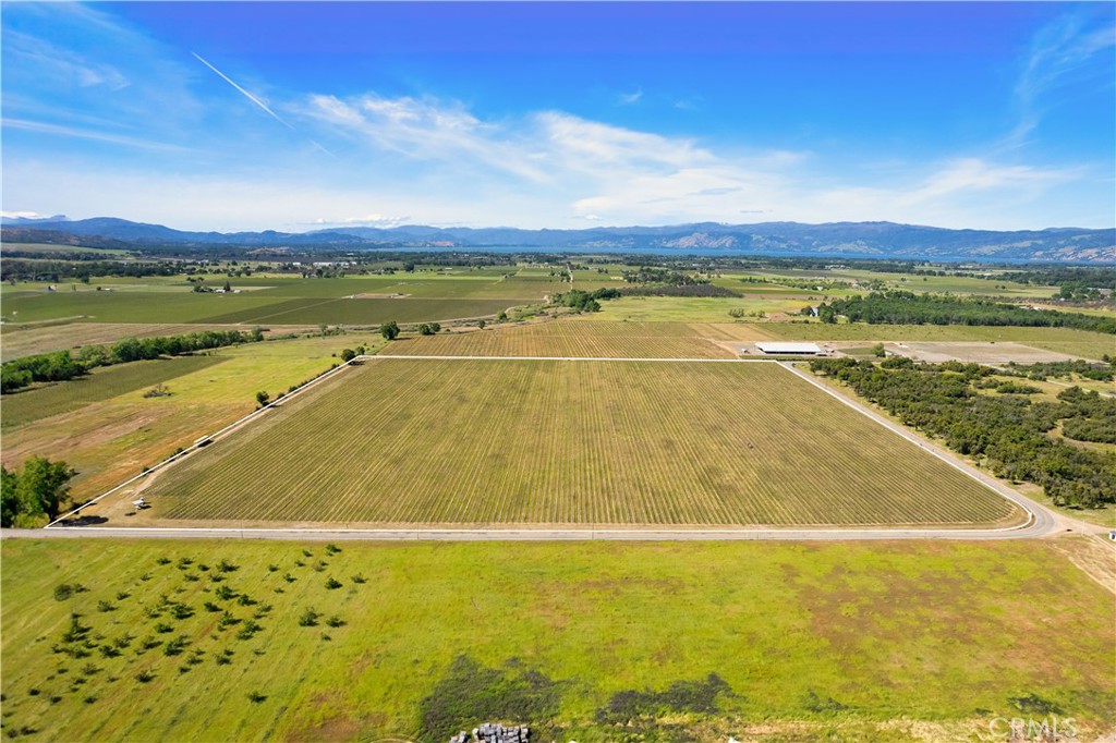 1650 Bell Hill Road Kelseyville, CA 95451 - Photo 17 of 29 a view of an outdoor space and mountain view
