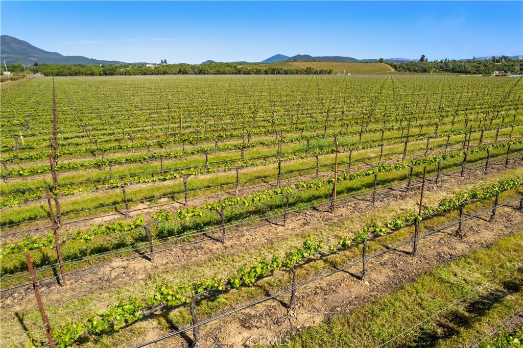 1650 Bell Hill Road Kelseyville, CA 95451 - Photo 2 of 29 a view of an ocean view