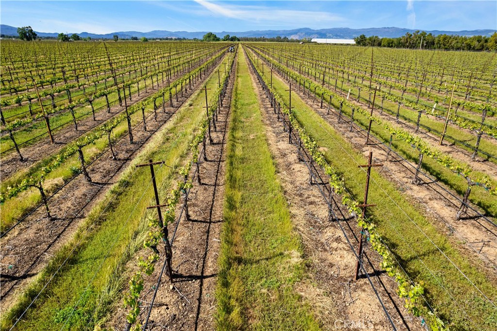 1650 Bell Hill Road Kelseyville, CA 95451 - Photo 23 of 29 a view of an outdoor space and a lake view