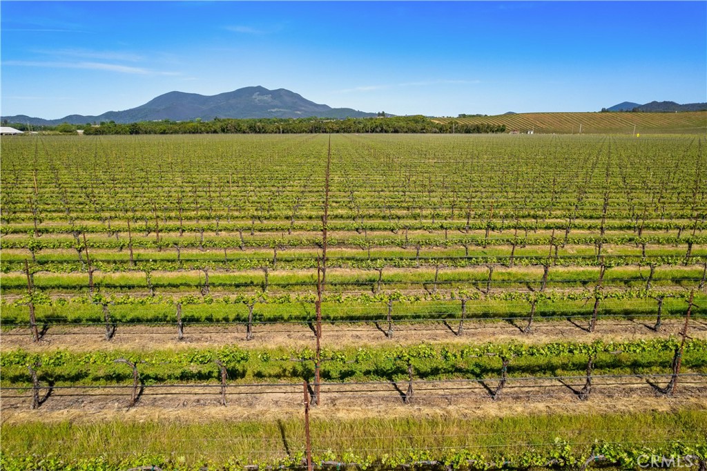 1650 Bell Hill Road Kelseyville, CA 95451 - Photo 25 of 29 a view of lake
