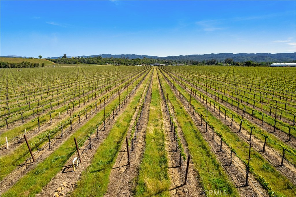 1650 Bell Hill Road Kelseyville, CA 95451 - Photo 26 of 29 a view of an ocean and city