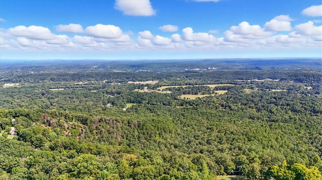 11 Brow Road Rome, GA 30165 - Photo 53 of 58 a view of a city with lush green forest