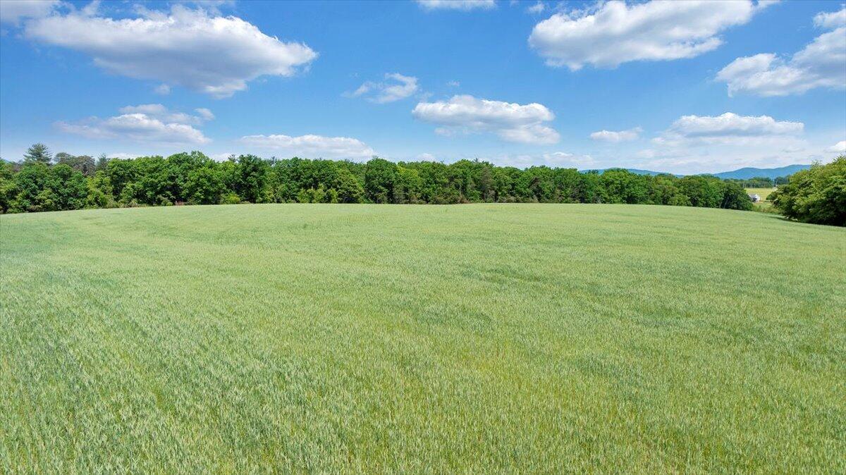 23 Alean Road Rocky Mount, VA 24151 - Photo 88 of 121 088-DJI_20250507094433_0143_D_MIB