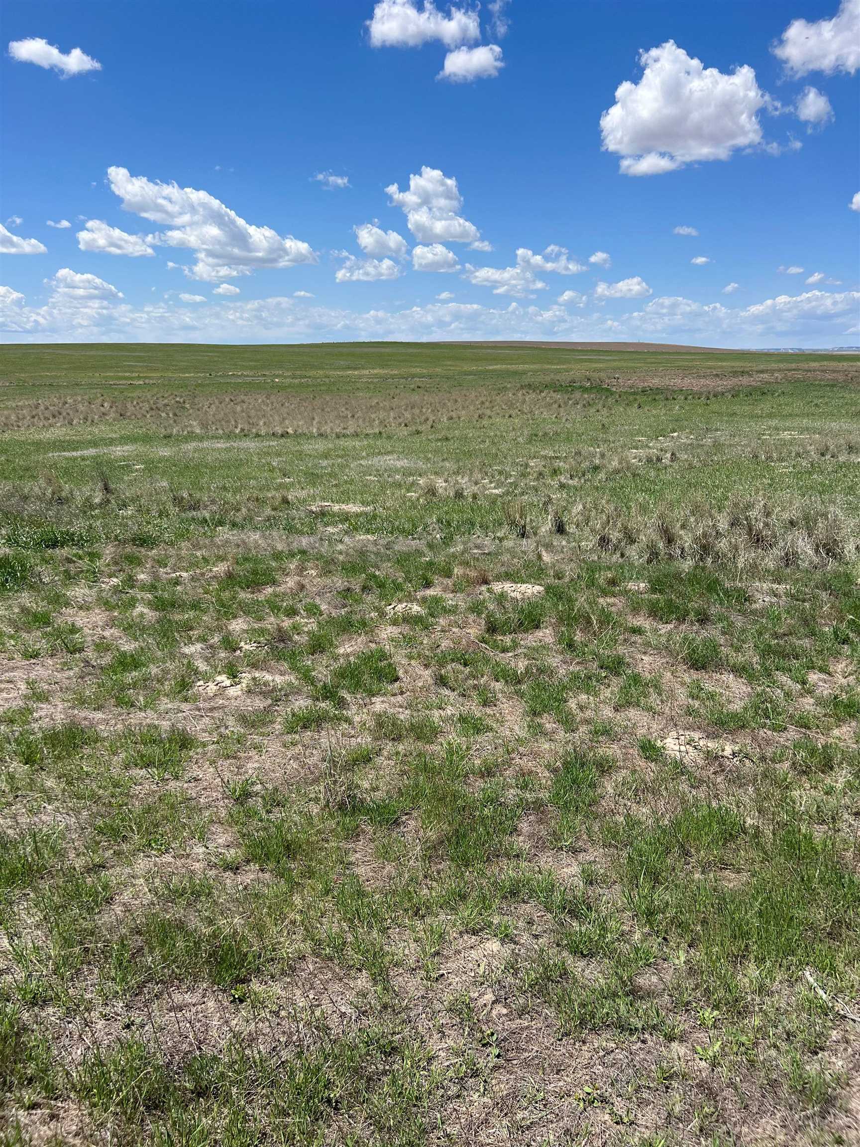 4686 Road 37 Yoder, WY 82244 - Photo 20 of 22
