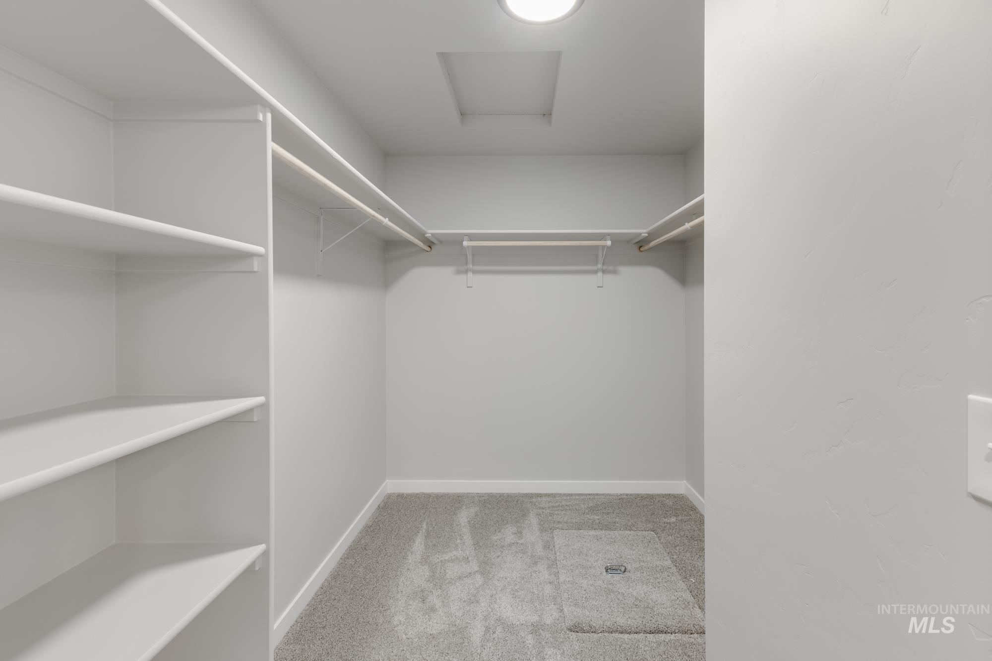 869 North Aleppo Way Meridian, ID 83642 - Photo 22 of 22 Spacious closet featuring light carpet and attic access