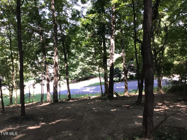 $29,500 | L23 R Maple Crest, Unit 23R, Greeneville, TN 37743