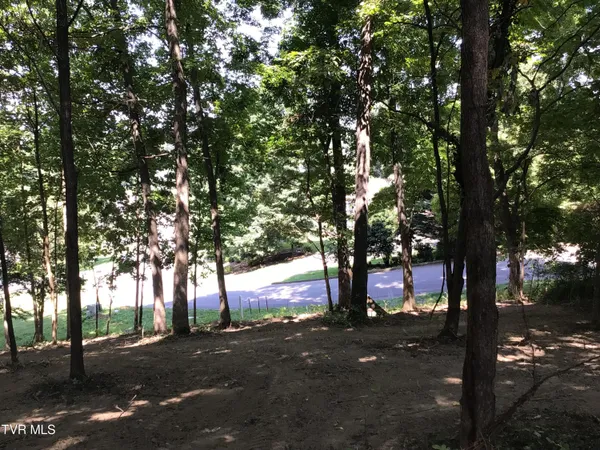 $29,500 | L23 R Maple Crest, Unit 23R, Greeneville, TN 37743