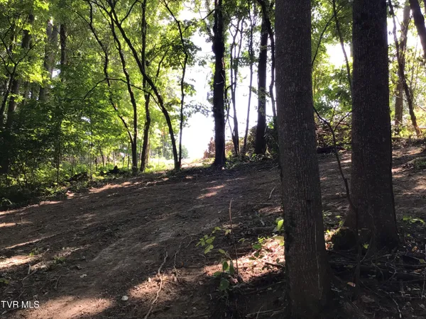 $29,500 | L23 R Maple Crest, Unit 23R, Greeneville, TN 37743