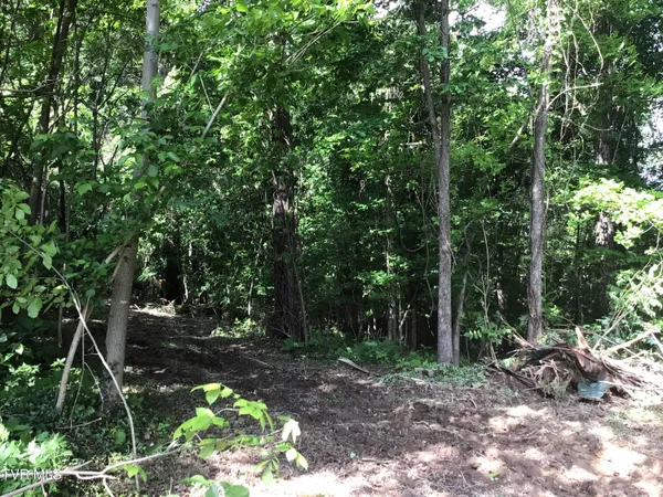 $29,500 | L23 R Maple Crest, Unit 23R, Greeneville, TN 37743